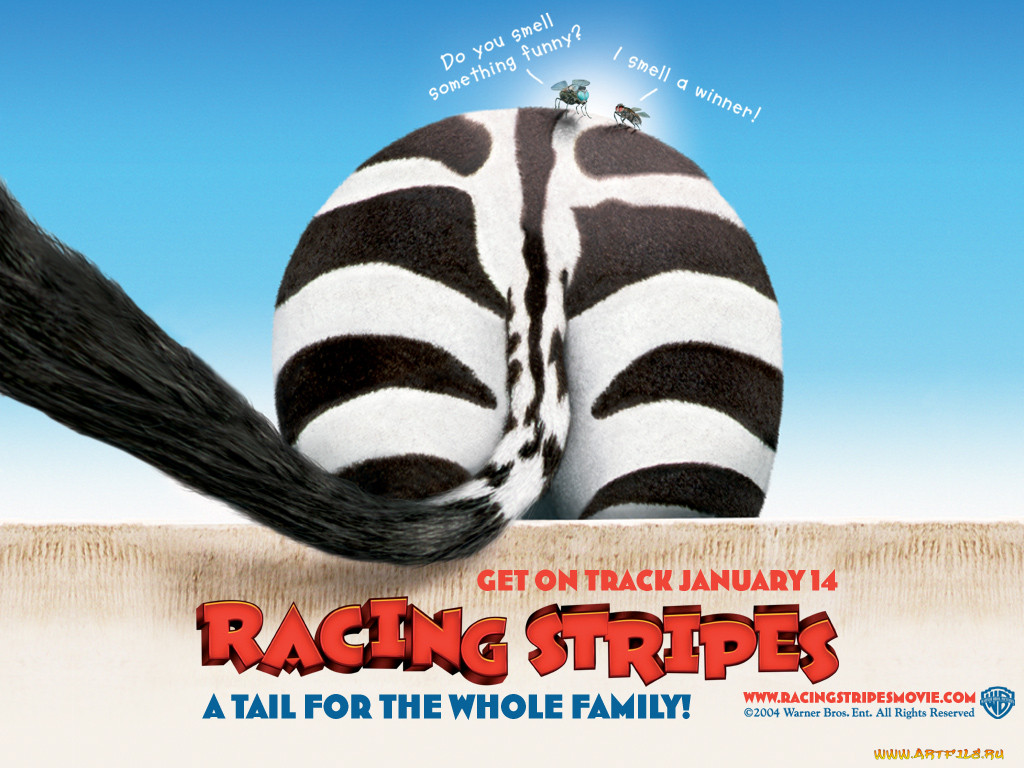racing, stripes, 04, 